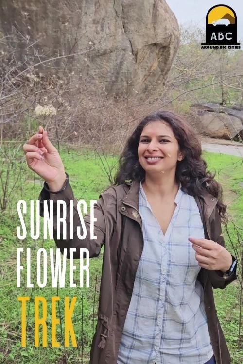 Sunrise Flower Trek