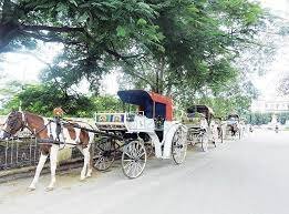 places to visit in Bangalore - Chariot ride