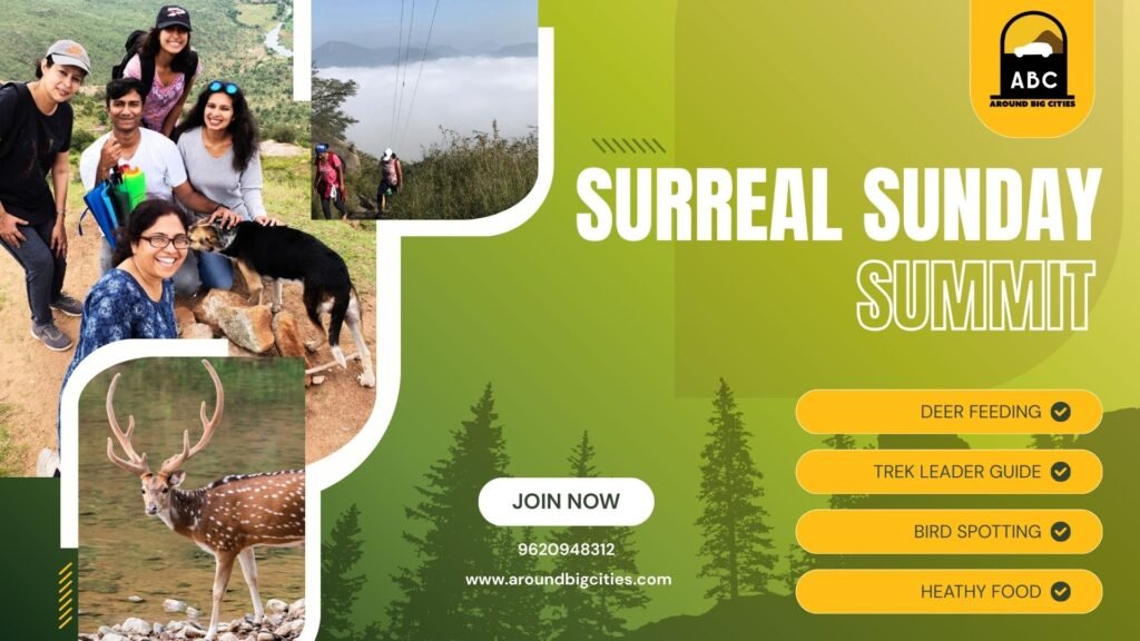 surreal sunday summit trek & deer feeding